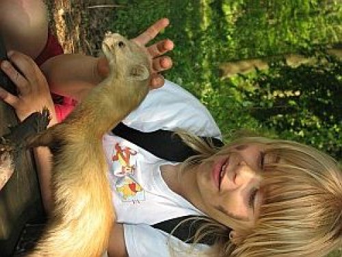 Proběhlo celostátní Setkání Brontosauřích dětských oddílů