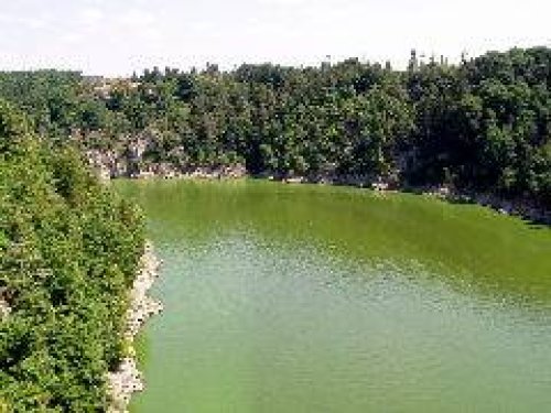 Pozor na sinice - postrach koupališť