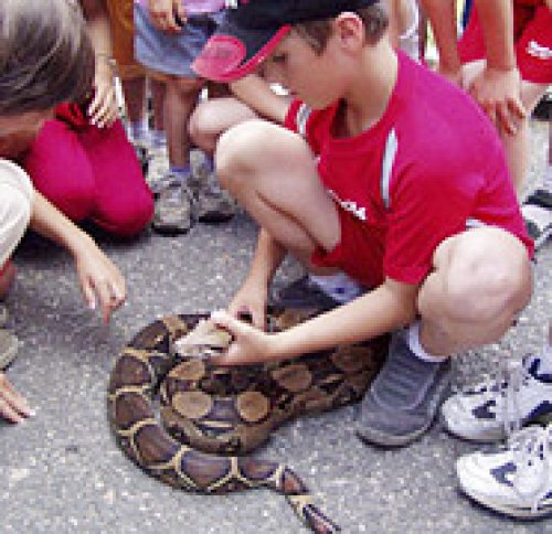 Vzdělávací programy v ZOO Dvůr Králové
