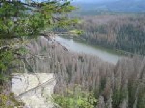 Národní park Šumava startuje nové projekty