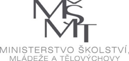 Vyhlášení mimořádného výběrového řízení