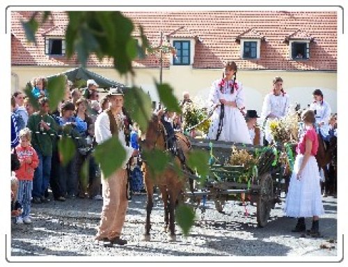 Borovice navštívila BIO jarmark na Toulcově dvoře