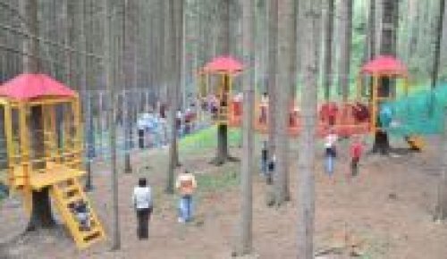 V ZOO na Svatém Kopečku zahájilo provoz lanové centrum Lanáček