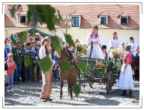 Pozvánka na biojarmark a dožínkové slavnosti na Toulcově Dvoře 19.-20.9.2008