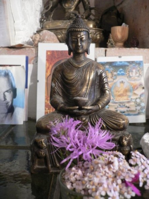 Dobrovolnický víkend v buddhistickém centru
