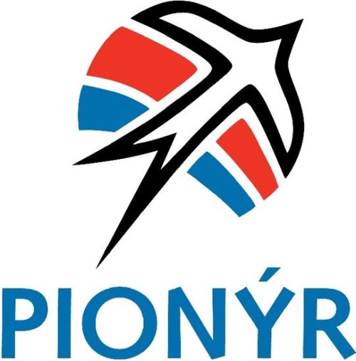 Pionýr a Evropský rok dobrovolnictví