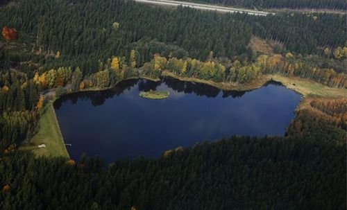 Nová přírodní památka na území Kolowratových lesů