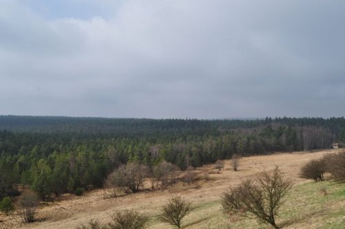 Příroda do učebny nepřijde, žáci chodí za ní