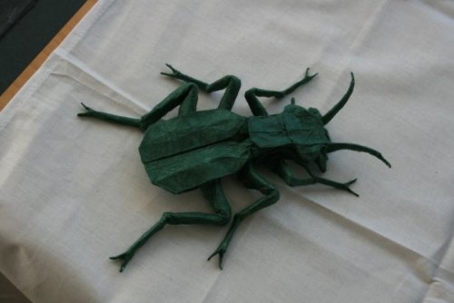 Origami v Letohrádku Mitrovských v Brně