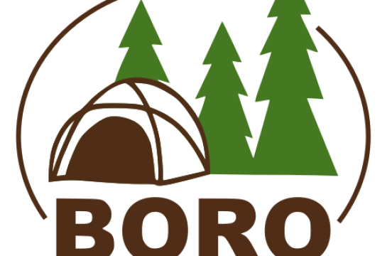 LogoBORO.png