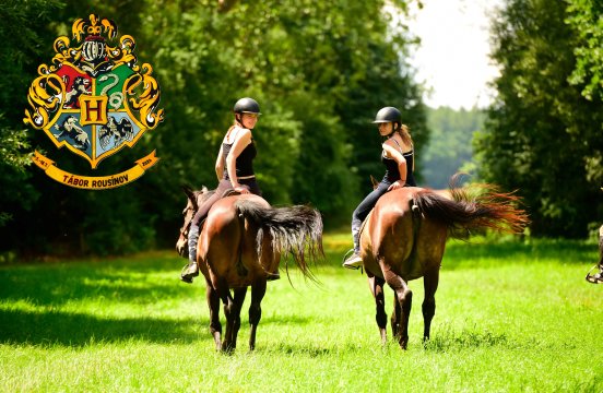 uvodni foto_11zon.jpg