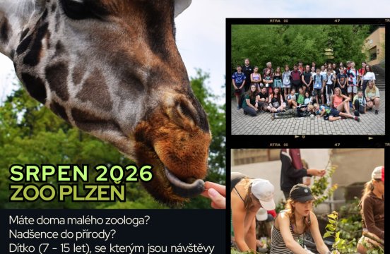 WhatsApp Image 2026-02-03 at 16.21.56.jpeg